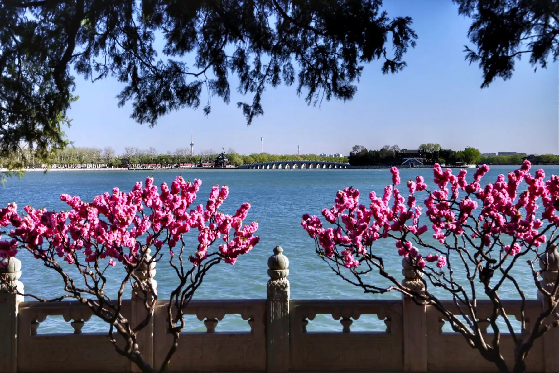 Spring in the summer palace